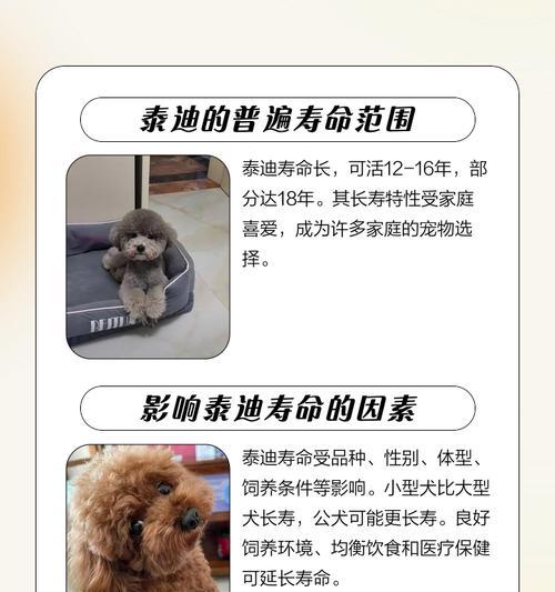 以太迪多久排便？（了解以太迪排便的规律与频率）