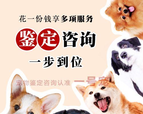 六种常见宠物犬价格介绍（了解宠物犬市场中的价格差异及其原因）