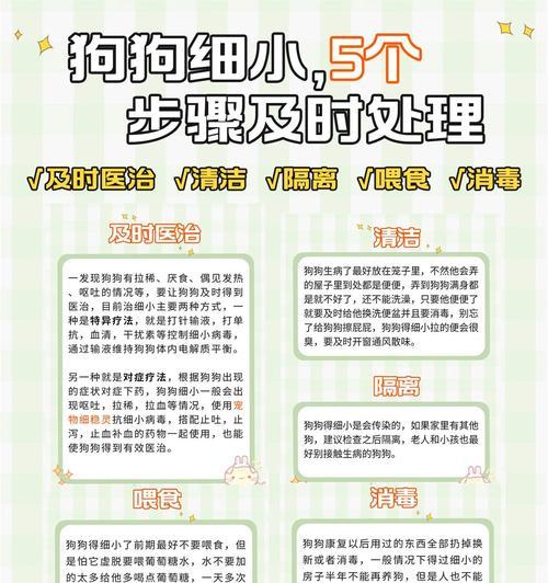 细小犬病（了解细小犬病，保护你的宠物健康）