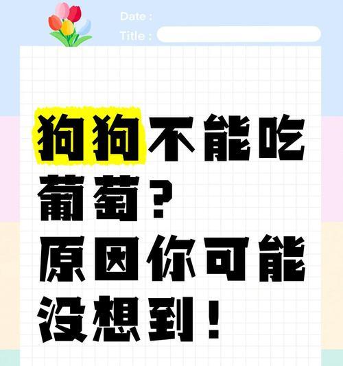 狗狗吃了葡萄的安全时间（了解关于狗狗食用葡萄的时间限制，保护你的宠物的健康）