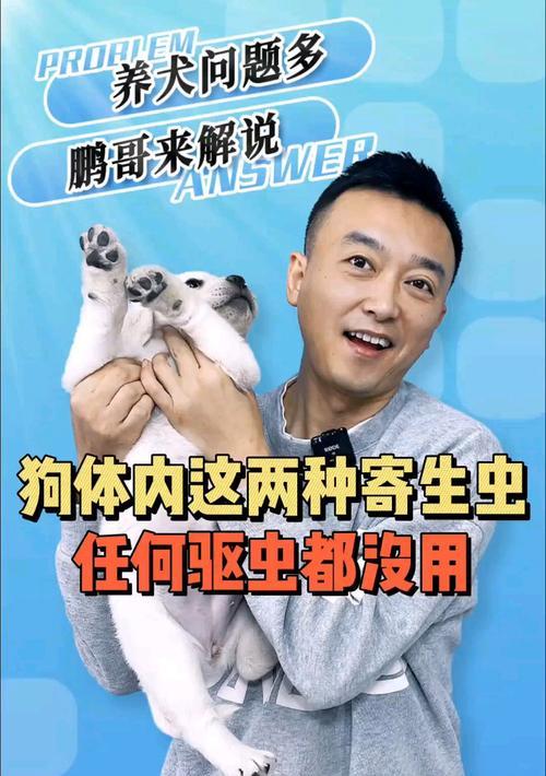 狗狗体温的重要性及测量方法（掌握狗狗正常体温，保护它们的健康）