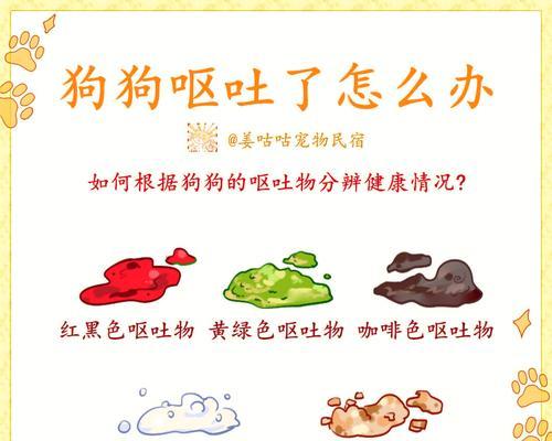 爱犬为何呕吐？（探究狗狗呕吐的原因）