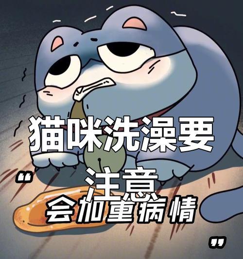 猫咪饭后洗澡，合适的时间是多久？（为猫咪选择最佳洗澡时间，让它们保持清洁与舒适）