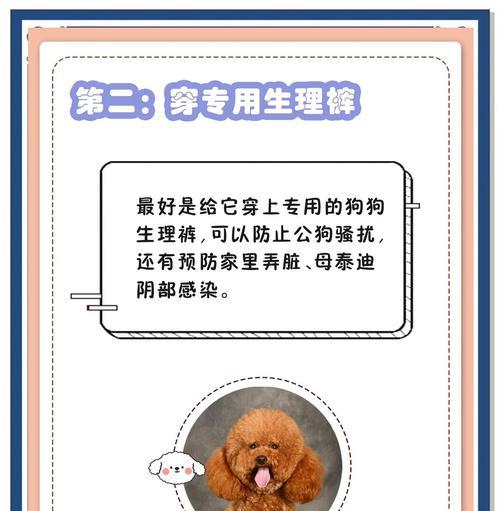 泰迪临产的征兆及注意事项（泰迪临产征兆的了解与应对措施）
