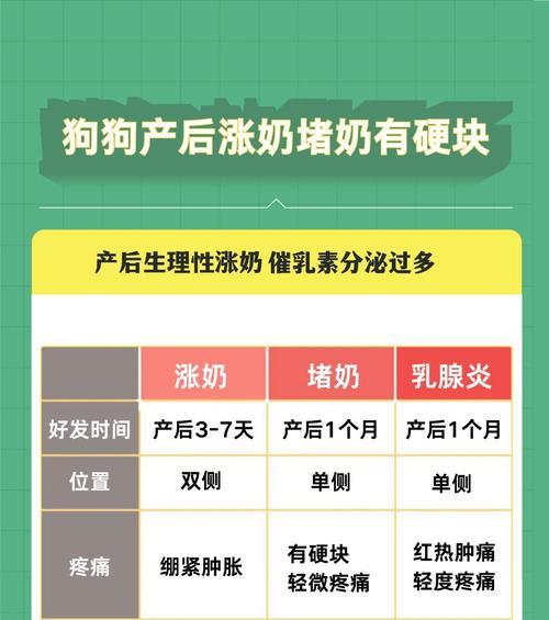 狗狗怀孕多久有奶？（了解狗狗哺乳周期的关键信息）