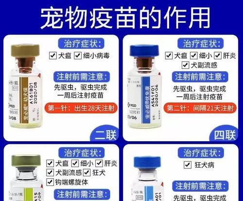 狗狗打疫苗后多久能够产生免疫力？（了解狗狗打疫苗后免疫力的形成过程及时间）