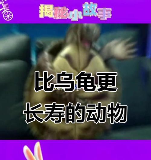 乌龟的寿命有多久？（揭秘乌龟的长寿奥秘及寿命影响因素）