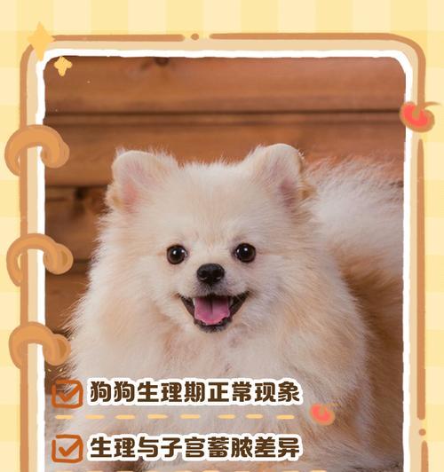 狗的月经周期及其影响（揭秘狗狗月经的周期、特征与保健方法）