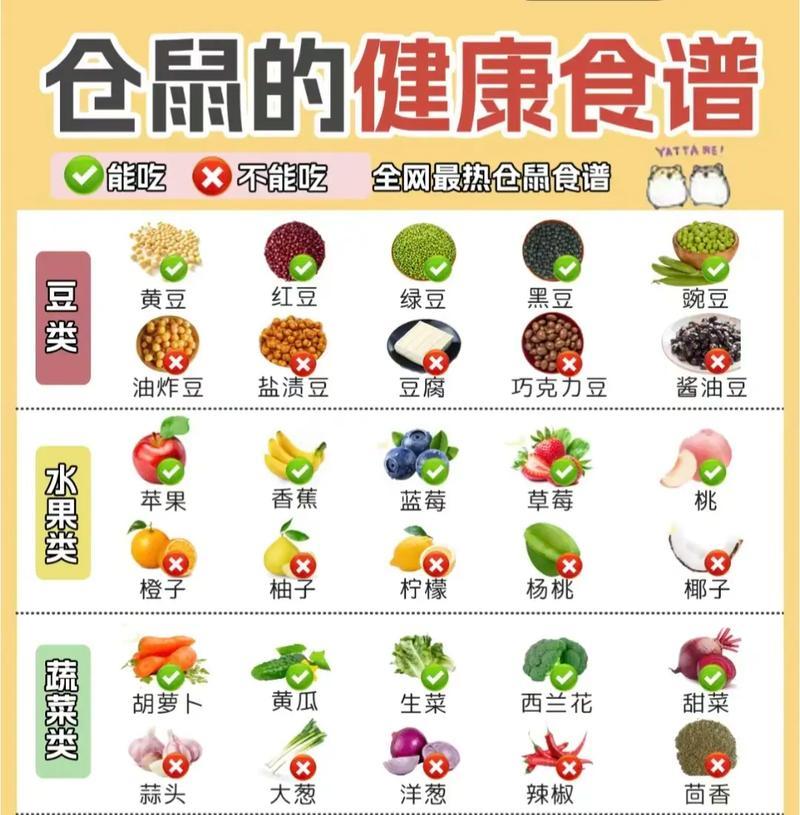小心！仓鼠不能吃的食物致命危险！（保护你的仓鼠，远离这些食物！）