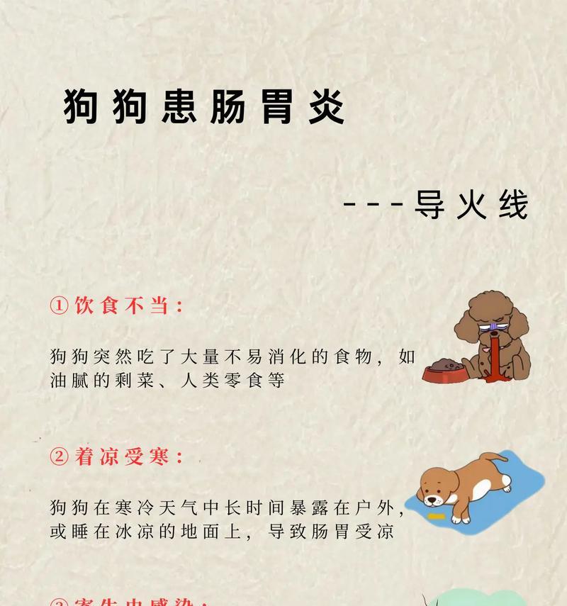 狗狗肠胃炎康复时间揭秘（了解狗狗肠胃炎的康复时间及关键因素）