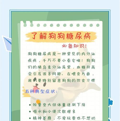 狗狗血糖高的症状及处理方法（了解狗狗血糖高的迹象和预防措施）