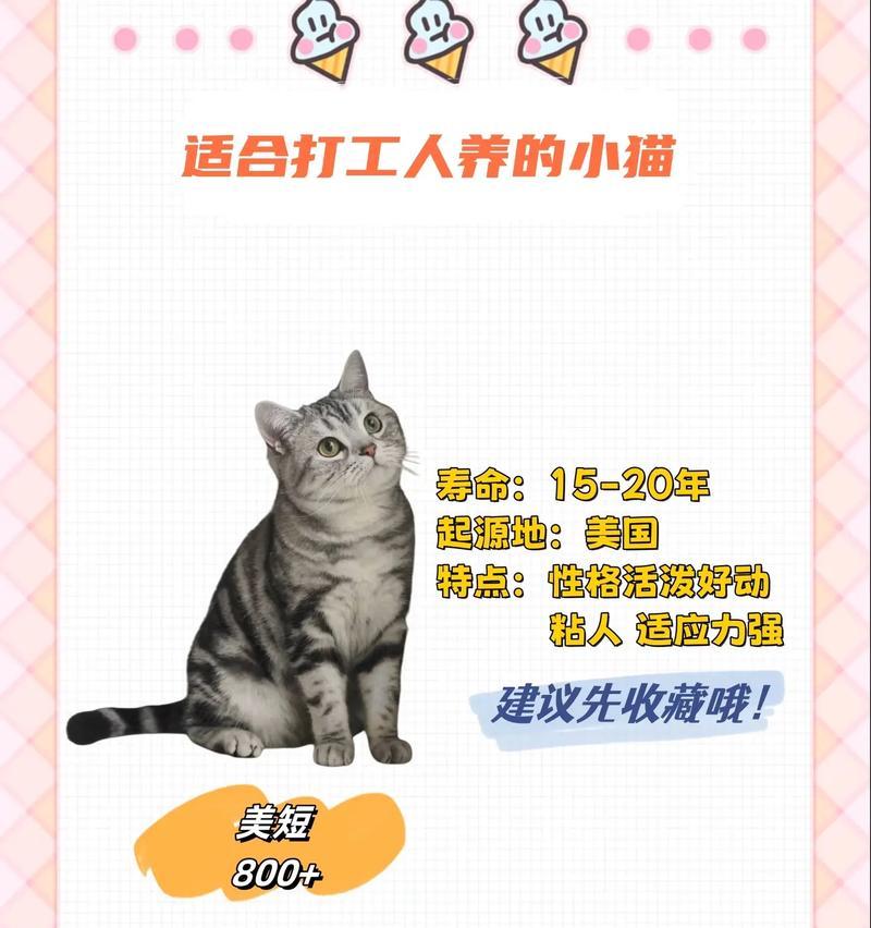 揭秘养猫智商税产品（如何避免为养猫买买买掏空口袋？）