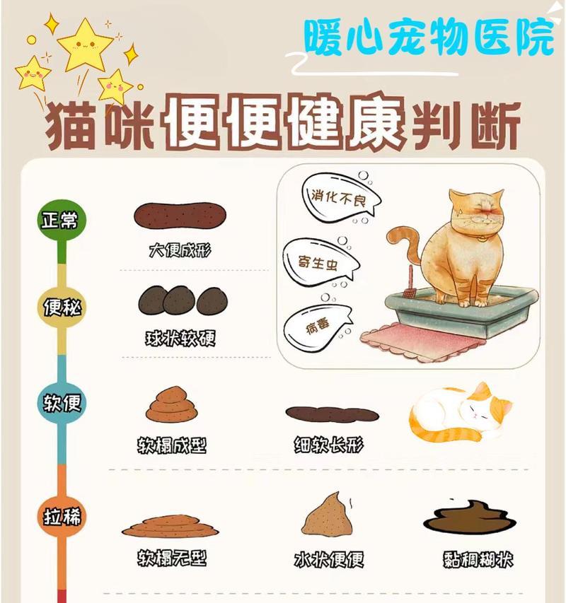 猫咪软便持续多久？原因和处理方法剖析（软便、拉稀、腹泻等情况下宠物猫的健康问题）