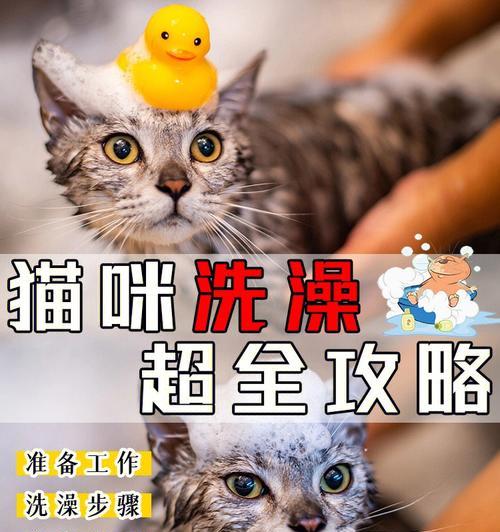 猫咪手术后的洗澡时间（了解手术恢复期间猫咪洗澡的最佳时机）