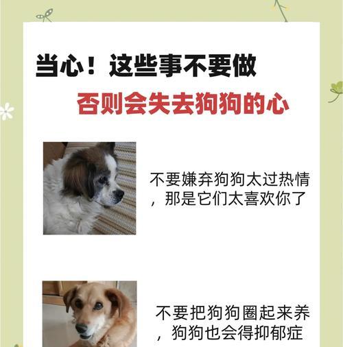幼犬到家注意事项（2分钟了解幼犬到家前不可忽视的事项）