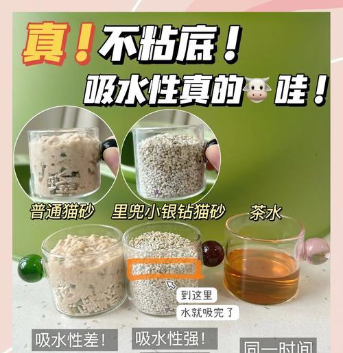 小奶猫多久会用猫砂（探索小奶猫使用猫砂的时间和技巧）