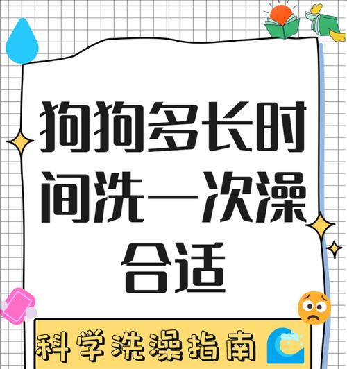 狗狗需要用多久的庆大？（探究狗狗庆大时间的重要性和适宜时长）