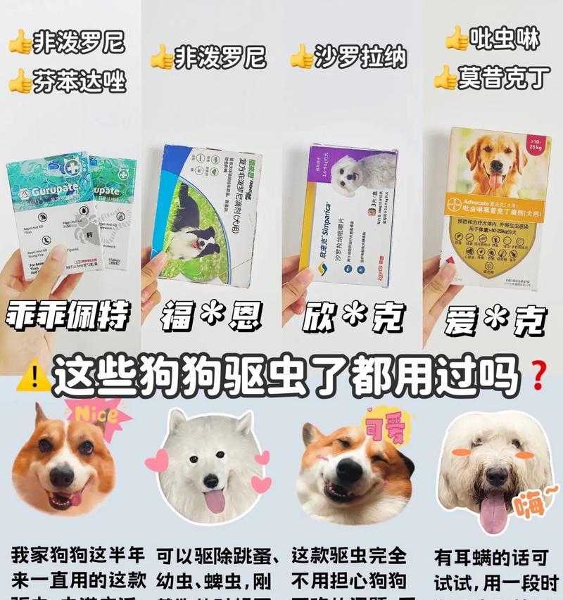 狗狗定期驱虫的重要性及频率