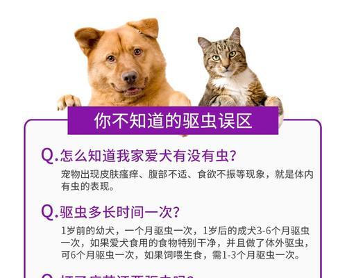 宠物驱虫（了解宠物驱虫的见效时间和重要性）