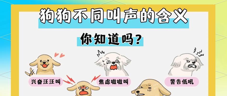 听懂狗狗的叫声，满足其需求（解密狗狗的六种不同叫声，帮助你成为贴心主人）