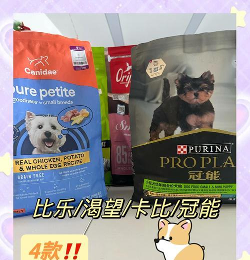 如何分辨优质狗粮？（教你识别好狗粮，保护宠物健康）