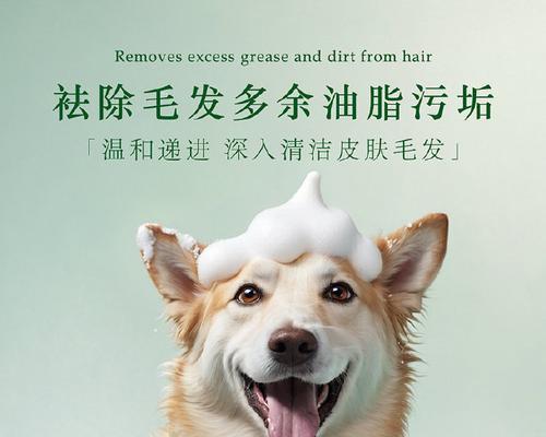 狗狗沐浴露一瓶能用多久？（了解狗狗沐浴露的使用寿命，让你省心又省钱！）