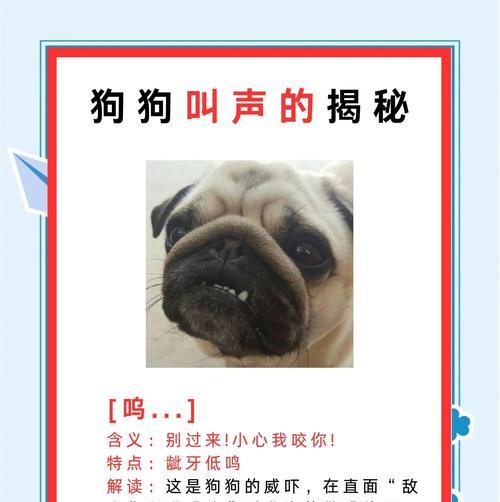 狗狗晚上吠叫扰民的原因与解决方法（探究狗狗夜晚哭叫的可能原因与解决方法）