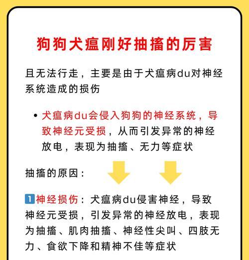 狗狗四肢抽搐，口吐白沫（了解狗狗癫痫病的症状、原因和治疗方法）