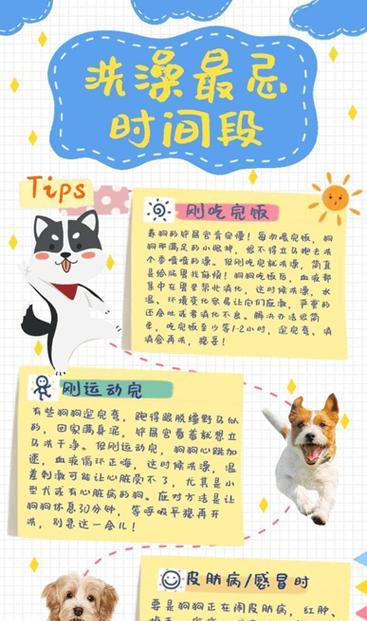 小狗洗澡的频率及注意事项（探讨小狗洗澡的最佳时机和正确方法）
