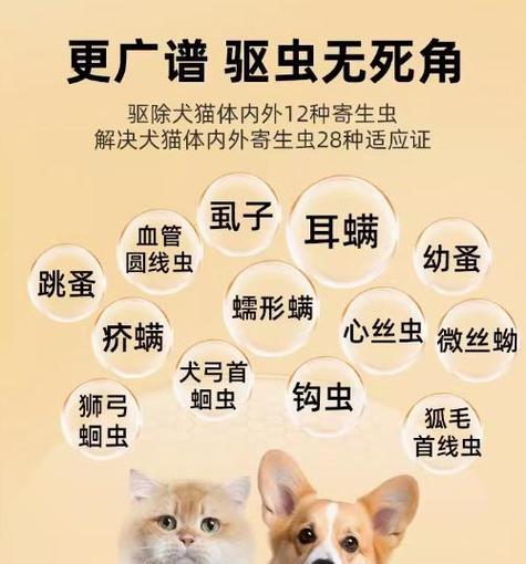 狗狗驱虫，从何时开始？（狗狗驱虫的最佳时间及注意事项）