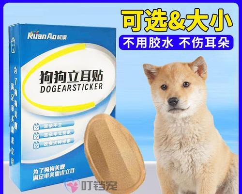 教你轻松给狗狗立耳朵！（解决狗狗耳朵不立的问题，快速恢复竖起的可爱模样！）