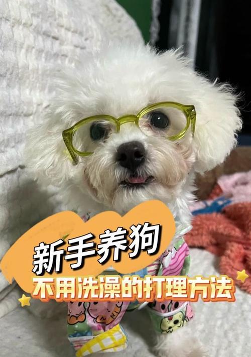 小狗打完疫苗后多久可以洗澡？