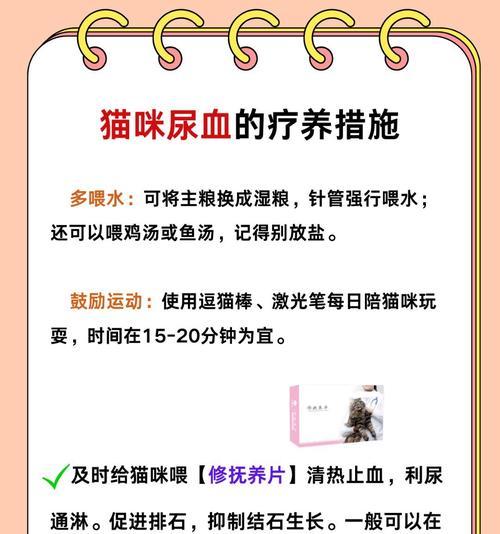 情绪对猫咪尿道系统的影响（探究猫咪尿道系统与情绪之间的科学联系，解读其影响机制）