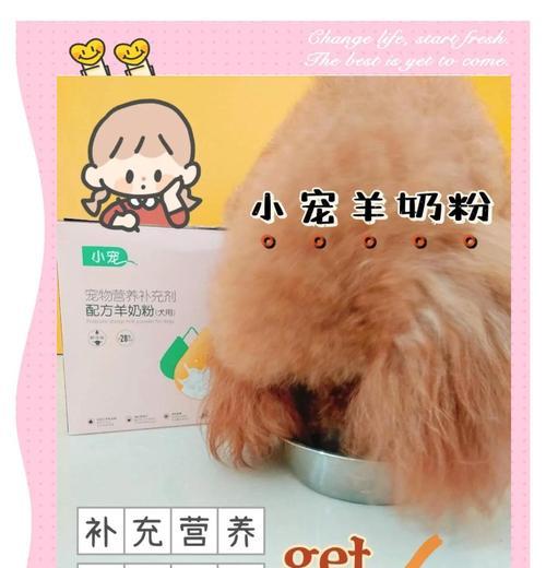 狗宝宝何时开始吃完奶粉？（探究狗宝宝逐渐转换食物的时间和方法）