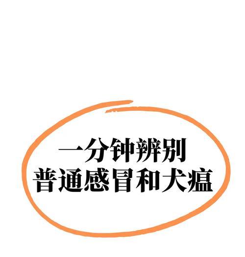 狗狗感冒与发烧的治疗方法（为你的爱犬提供适当的护理与治疗，让它尽快康复）