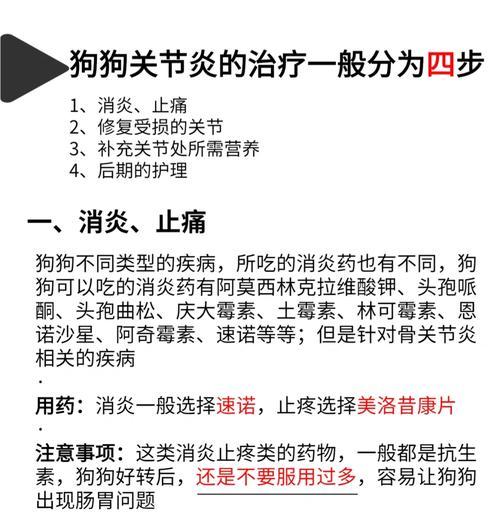 狗狗止疼药使用频率探讨（合理喂药频率可保宠物健康）