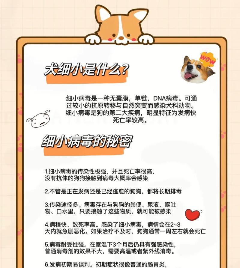 狗细小死亡后再养狗的适宜时间（了解适宜的再养狗时间可以避免细小传染和促进宠物健康）
