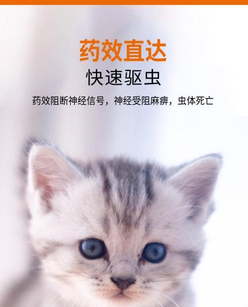 宠物猫驱虫针的使用频率及注意事项（保护爱猫健康，科学合理使用驱虫针）