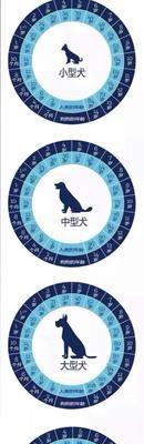 如何判断狗的年龄段（狗狗年龄判断的关键指标和技巧）