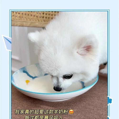 如何应对幼犬奶水不足的情况（让你的宠物狗健康成长的关键）