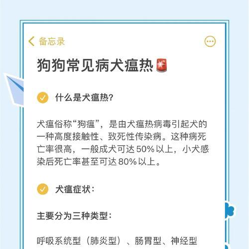 犬瘟治疗周期及注意事项（了解犬瘟的治疗周期和重要注意事项来保护你的宠物）