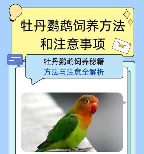 如何判断牡丹鹦鹉的公母？（牡丹鹦鹉性别鉴定方法及关键要点）