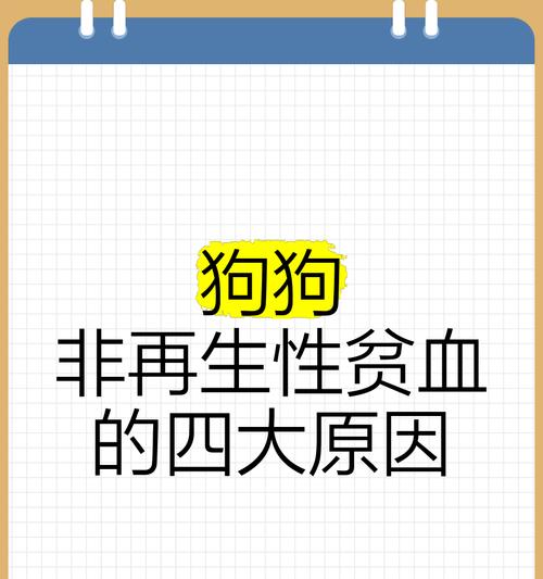 了解狗狗贫血的症状与预防措施（掌握狗狗贫血的常见症状及关键预防方法）