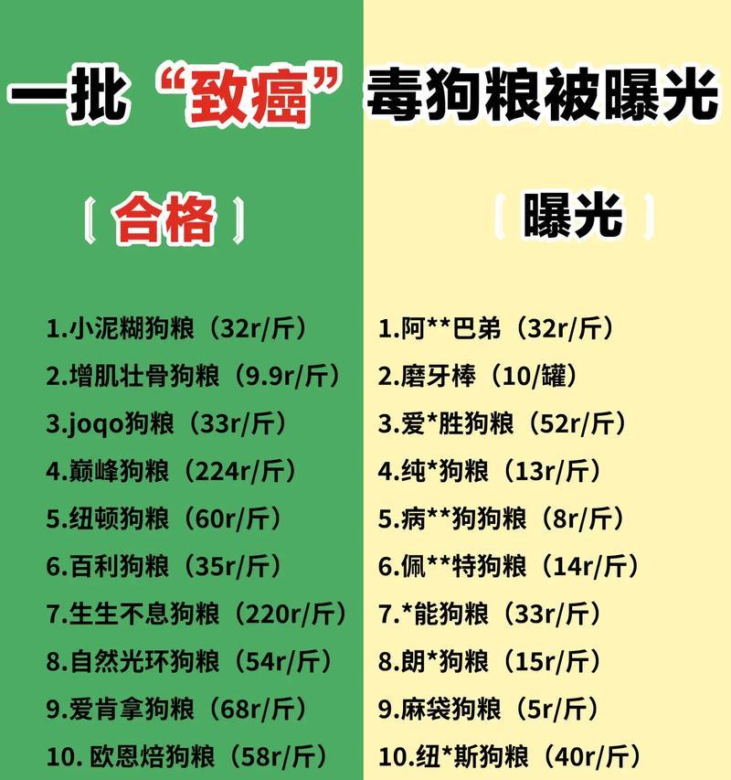 狗狗细小恢复期的饮食指南（了解细小患犬的饮食要点，健康喂养宠物）