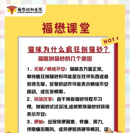 为什么猫咪喜欢睡在猫砂盆里？（揭秘猫咪选择睡在猫砂盆的几个原因）