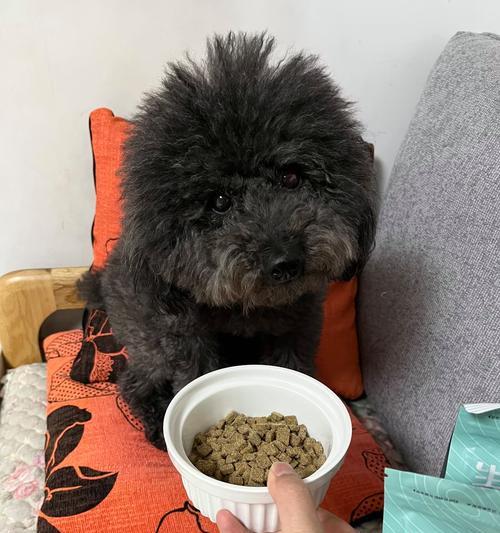 狗狗吃多了有哪些症状？（探讨狗狗过量饮食的危害和常见症状）