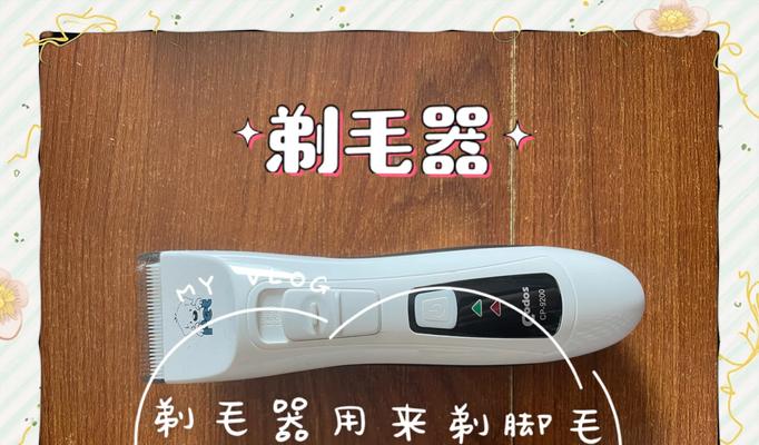 比熊修毛工具大揭秘（一起了解比熊修毛所需的必备工具吧！）