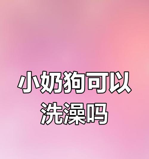 小狗怀孕多久能洗澡的关键注意事项（了解小狗怀孕期间洗澡的最佳时间和方法）