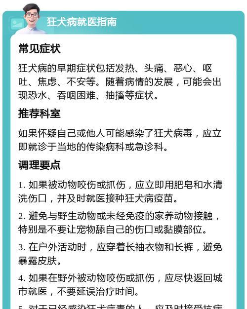 狗狗细小恢复期护理方法和注意事项（避免二次感染，保障宠物健康）