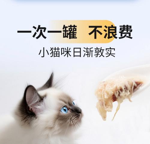 猫的饮食习惯与湿粮的定期喂养（揭秘猫的饮食习惯，你是否知道它们喜欢多久吃一次湿粮？）